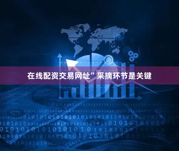 在线配资交易网址”　　采摘环节是关键